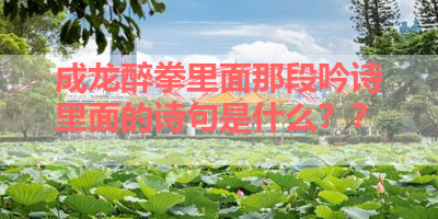 成龙醉拳里面那段吟诗里面的诗句是什么？？ 