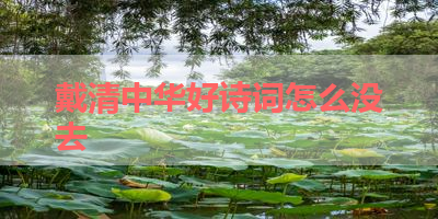 戴清中华好诗词怎么没去 