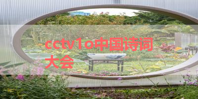 cctv1o中国诗词大会 
