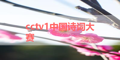 cctv1中国诗词大赛 