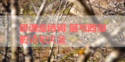 房遗爱诗词 描写西湖的诗句大全 