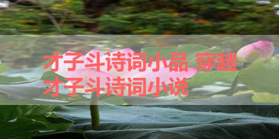 才子斗诗词小品 穿越才子斗诗词小说