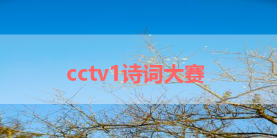 cctv1诗词大赛 