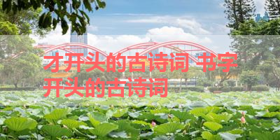 才开头的古诗词 书字开头的古诗词