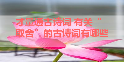 才量通古诗词 有关“取舍”的古诗词有哪些 