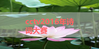 cctv2016年诗词大赛 