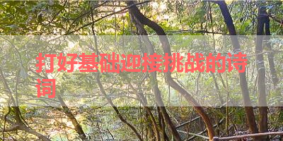 打好基础迎接挑战的诗词 