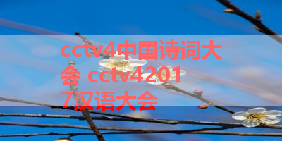 cctv4中国诗词大会 cctv42017汉语大会