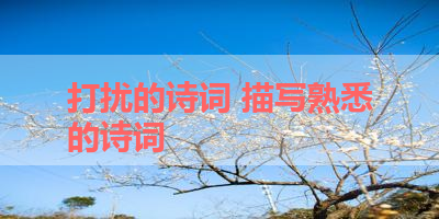 打扰的诗词 描写熟悉的诗词