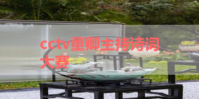 cctv董卿主持诗词大赛 