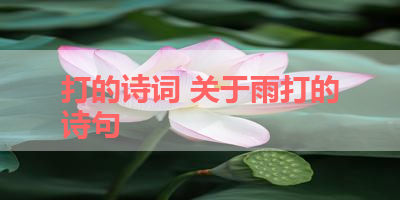 打的诗词 关于雨打的诗句 