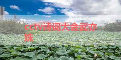 cctv诗词大会武亦姝 