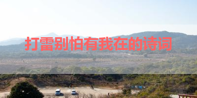 打雷别怕有我在的诗词 
