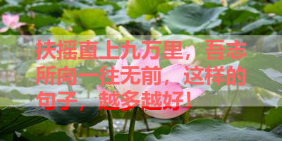 扶摇直上九万里，吾志所向一往无前，这样的句子，越多越好！ 