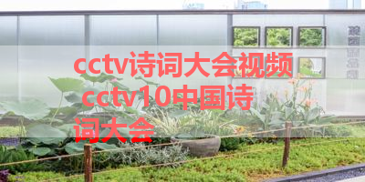 cctv诗词大会视频 cctv10中国诗词大会