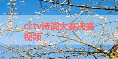 cctv诗词大赛决赛视频 