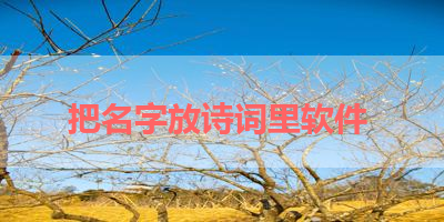 把名字放诗词里软件 