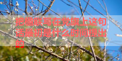 把楹联写在党旗上这句话最初是什么时间提出的 