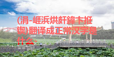 (涓-崕浜烘皯鍏卞拰锲)翻译成正常汉字是什么- 