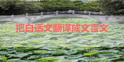 把白话文翻译成文言文 