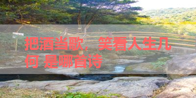 把酒当歌，笑看人生几何 是哪首诗 