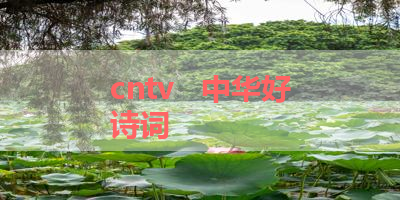 cntv   中华好诗词 