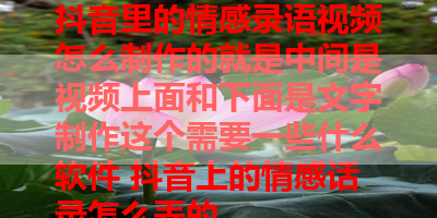 抖音里的情感录语视频怎么制作的就是中间是视频上面和下面是文字制作这个需要一些什么软件 抖音上的情感话录怎么弄的