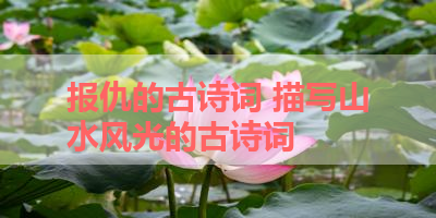 报仇的古诗词 描写山水风光的古诗词