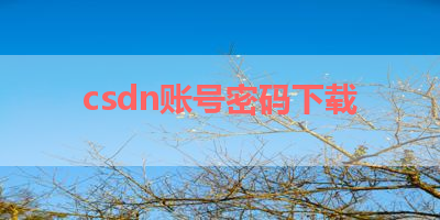 csdn账号密码下载 