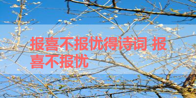 报喜不报忧得诗词 报喜不报忧
