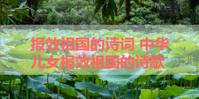 报效祖国的诗词 中华儿女报效祖国的诗歌 
