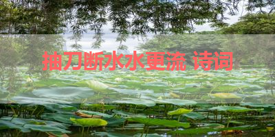 抽刀断水水更流 诗词 