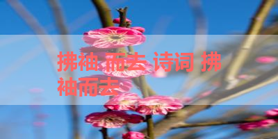 拂袖 而去 诗词 拂袖而去