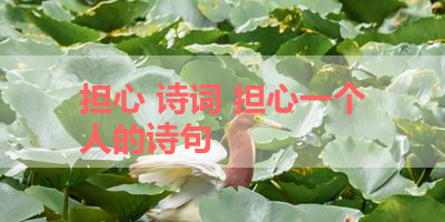 担心 诗词 担心一个人的诗句