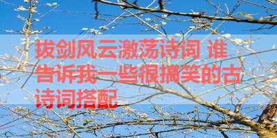 拔剑风云激荡诗词 谁告诉我一些很搞笑的古诗词搭配 