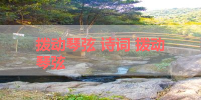 拨动琴弦 诗词 拨动琴弦