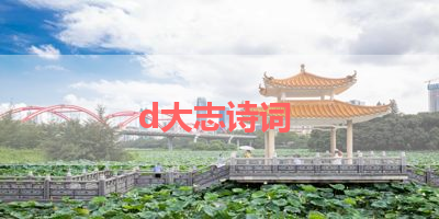 d大志诗词 