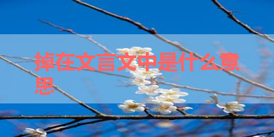 掉在文言文中是什么意思 