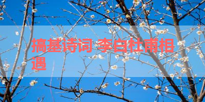 搞基诗词 李白杜甫相遇