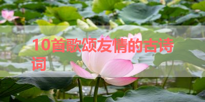 10首歌颂友情的古诗词 