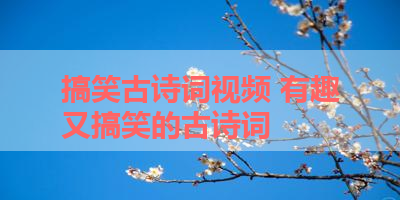 搞笑古诗词视频 有趣又搞笑的古诗词