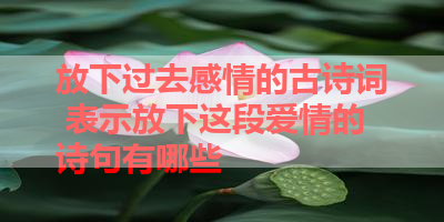 放下过去感情的古诗词 表示放下这段爱情的诗句有哪些 