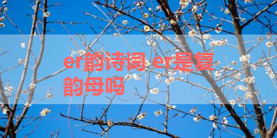er韵诗词 er是复韵母吗