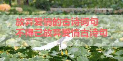 放弃爱情的古诗词句 不得已放弃爱情古诗句 