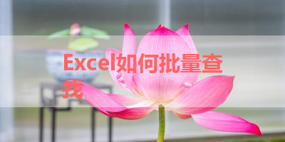 Excel如何批量查找 