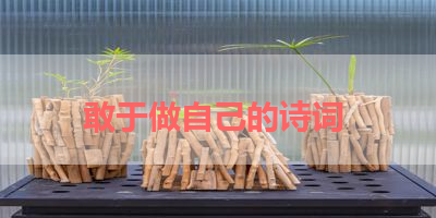 敢于做自己的诗词 
