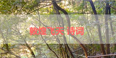 敦煌飞天 诗词 