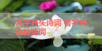 斗字开头诗词 者字开头的诗词