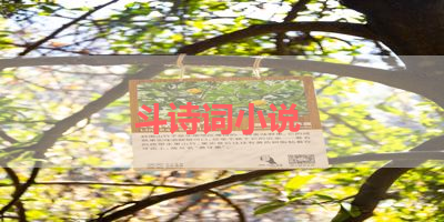 斗诗词小说 