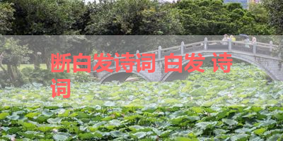 断白发诗词 白发 诗词